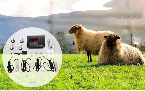 Livestock Scale Kit, 6600 lb Tray Scale Load Cell Scale Kit Platform, Floor Scale for Cattle,Sheep with Weighing Indicator in Saudi Arabia