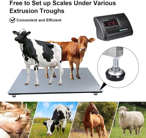 5T Livestock Scale Shipping Scales,Livestock Scale Kit with Sensor, Large Platforms Stainless Steel Vet Scale Industrial Floor Scale Large Animal Cow Dog Pig Scale Goat Weight Scale Pet Digital Scale in Saudi Arabia