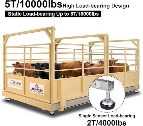 5T Livestock Scale Shipping Scales,Livestock Scale Kit with Sensor, Large Platforms Stainless Steel Vet Scale Industrial Floor Scale Large Animal Cow Dog Pig Scale Goat Weight Scale Pet Digital Scale in Saudi Arabia