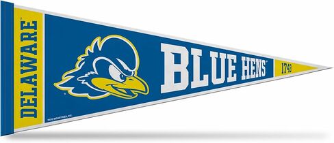 Rico Industries NCAA Delaware Fightin Blue Hens Rally 12" x 30" Felt Wall Décor Pennant - Great for Home/Bed Room/Man Cave Décor in Saudi Arabia