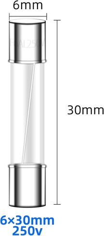 6x30mm 15a 250v الصمامات الزجاجية السريعة 15 أمبير فتيل 250 فولت 0.24x1.18 بوصة F15AL250V حزمة 20 in Kuwait