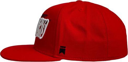 Official Collegiate Adjustable Snapback Flat Brimmed 6 Panel Hat - Gradient Team Collection in Saudi Arabia