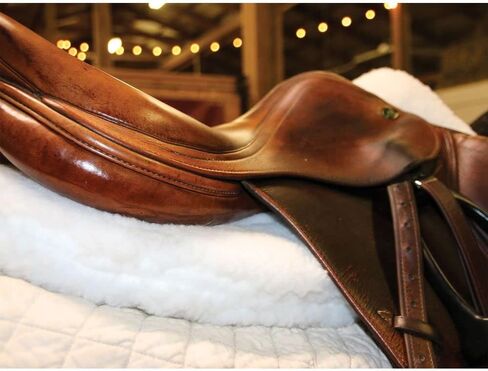 Dura-Tech Fleece & Memory Foam Half Pad with Wither Relief | Enhanced Shock Absorption | Promotes Back Comfort | Wither Relief Design | Suitable for Hard-to-Fit Horses | Sweat-Wicking Quilted Cotton in Saudi Arabia