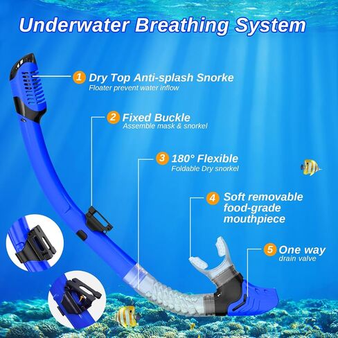 مجموعة الغطس البالغة -طقم الغطس ، قناع الغوص المضاد للتسرب والغطس الجاف ، قناع Scuba بانورامي 180 درجة مع عدسة زجاجية مقسمة للغوص ، الغطس ، السباحة (الأزرق) in Saudi Arabia