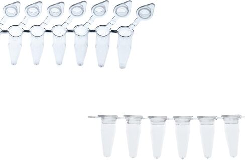 شريط PCR 8 أنبوب ، بولي بروبيلين واضح مع أغطية مسطحة - 125 شرائط/صندوق (.2ml ، غطاء مرفق) in Kuwait