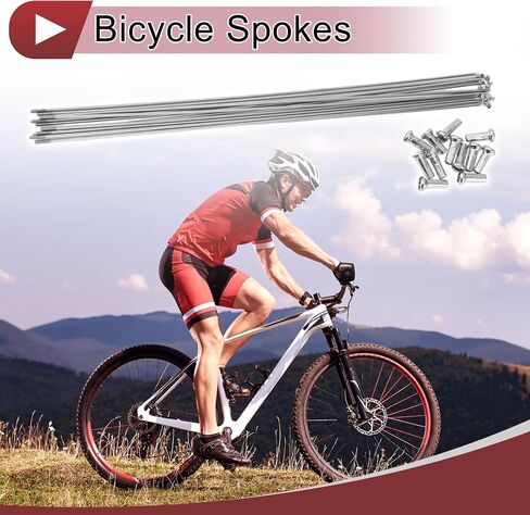 12 Set 14G Bicycle Spokes 293mm Bike Wheel Spokes 304 Stainless Steel Silver Tone in Saudi Arabia