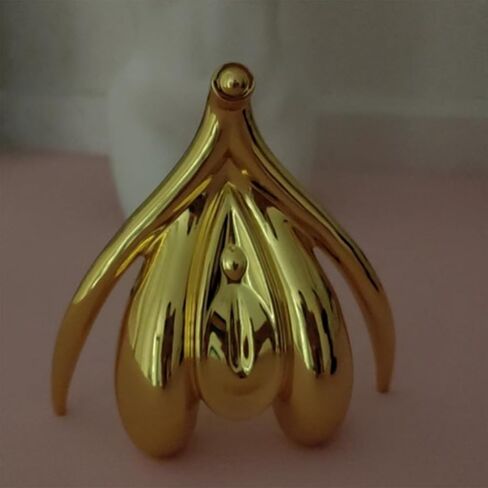 Female Clitoris Anatomical Model -Educational Anatomy Model Premium Clitoris 3D for Educational Purposes - Accurate Clitoris Sculpture Manikin for Learning and Therapy (Silver) in Kuwait