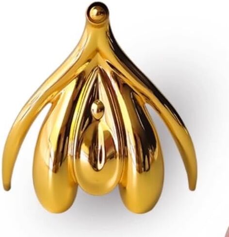Female Clitoris Anatomical Model -Educational Anatomy Model Premium Clitoris 3D for Educational Purposes - Accurate Clitoris Sculpture Manikin for Learning and Therapy (Silver) in Kuwait
