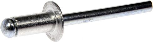 Dorman 963-204D GM PUMPER PRILD RIVET - DIAMETER 6.35MM SIVAL ، 2 PACK in Kuwait