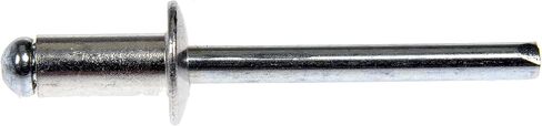 Dorman 963-204D GM PUMPER PRILD RIVET - DIAMETER 6.35MM SIVAL ، 2 PACK in Kuwait