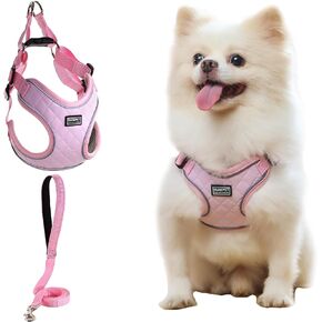 No Pull Dog Harness with Leash Set Green All Weather Mesh Adjustable Step in Reflective Escape Proof Vest Harness for Small and Medium Dogs Puppy,Large Cat S