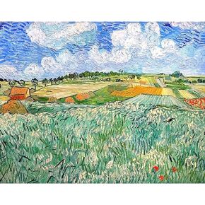Vincent Van Gogh Masterpiece Series Paint by Numbers for Adults by Tococoo, DIY Adult Paint by Number Kits for Beginners on Canvas Rolled 16" by 20" Without Framed (The Plains of Orvison)