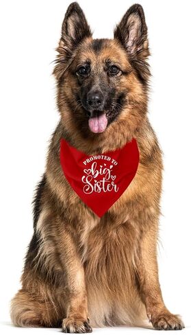 Big Sister Bandana for Dog, Dog Bandana Pregnancy Announcement, Red Dog Bandana, Dog Scarf, Dog Pregnancy Announcement, Dog Bandana for Small Medium Large Dogs (A84) in Saudi Arabia