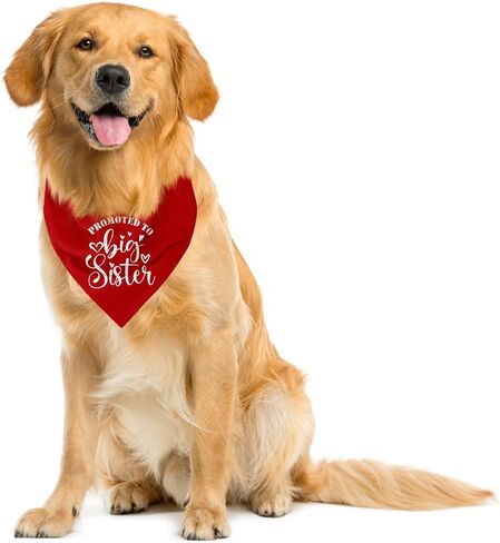 Big Sister Bandana for Dog, Dog Bandana Pregnancy Announcement, Red Dog Bandana, Dog Scarf, Dog Pregnancy Announcement, Dog Bandana for Small Medium Large Dogs (A84) in Saudi Arabia