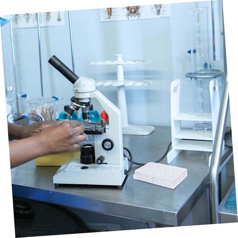Cabilock Laboratory Cell Culture Plate 12 Hole Tissue Culture Tray Dependable Quick Reaction Performance in Kuwait
