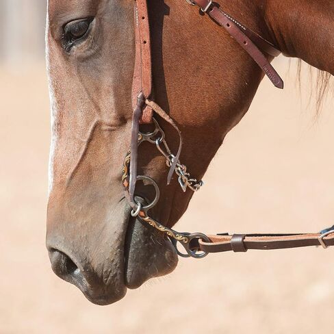 Classic Equine Sherry Cervi Diamond Long Shank Chain Gag Bit in Saudi Arabia