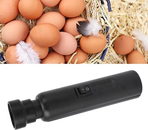 البيض Candler مستقر USB ABS البارد LED LED EGG TESTER لأوز دجاج بطة بيض حاضنة إكسسوارات عائلة الفقس والاستخدام التعليمي in Saudi Arabia