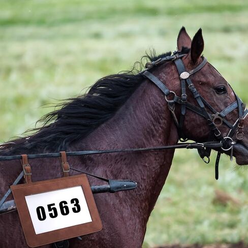 4 Pcs Performance Number Holder for Horse Saddle Horse Show Supplies Leather Exhibitor Number Clip for Saddle Harness Pig Cattle Cow Goat Show Supplies in Saudi Arabia