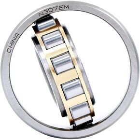 1PCS N304 305 306 307 308 309 310 311 312 313 314EM Cylindrical Roller Bearing(N306) in Kuwait