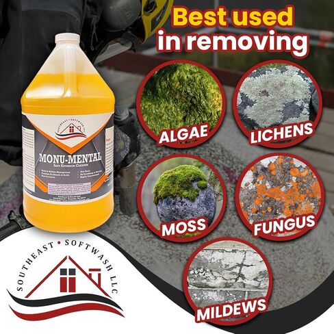 Monu-Mental Cleaner: Timeless Restoration for Monuments, Tombstones, Sculptures, and More (1) in Saudi Arabia