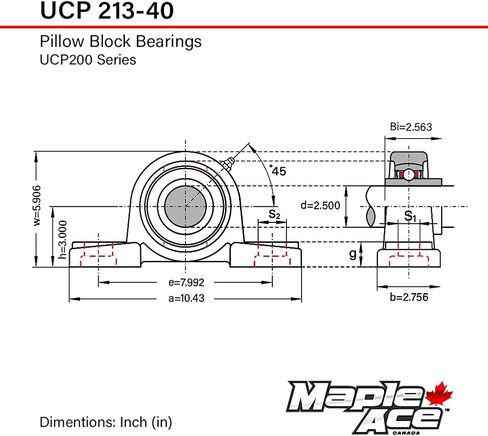 Maple Ace UCP213-40 وسادة كتلة تحمل 2-1/2 "التجويف ، 2-bolt ، المحاذاة الذاتية ، والخدمة الثقيلة (الكمية 2) in Saudi Arabia