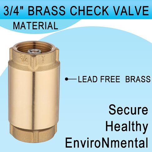 (1 Pack) Asterbacks Check Foot Valve 3/4 Inch NPT Female Connection, Heavy Duty Prevent Backflow Media Valve for Water Pump, Irrigation System Water-Pipe Valves of Metal in Saudi Arabia