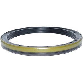 Oil Seal Valve Stem Seal 12015133B 165 * 190 * 15.5/17 or 165X190X15.5/17 in Saudi Arabia