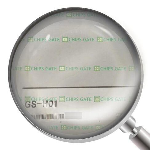 GS-H01 1PCS جديد GS-H01 مع صندوق للشحن in Kuwait