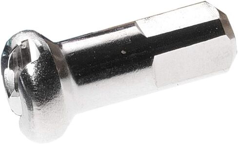 DT SWISS Spoke Nipple Brass 2.0 × 14 مم Silver Proph - صندوق 100 - N0BD20140N0100 in Saudi Arabia