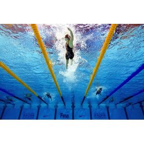 Katie Ledecky Sports Poster Photo Limited Print Sexy Celebrity USA Olympic Swimmer Athlete Size 22x28#3 in Saudi Arabia