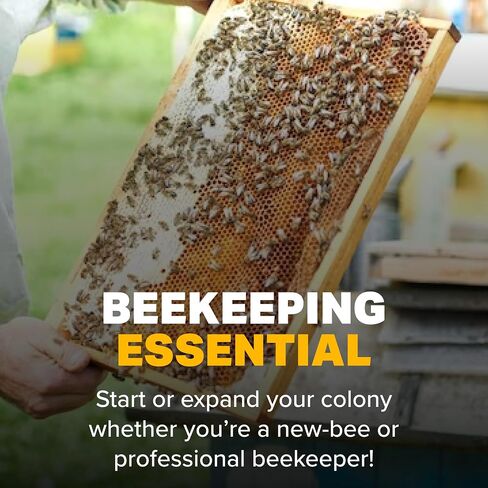 Mann Lake Round Beekeeper Label ، علامة تبويب إثبات العبث الختم ، تصادق العسل المحلي ، سهلة التطبيق ، زيادة مبيعات العسل ، متعددة السطح ، لفة 250 ، (2 1/4 ") in Kuwait