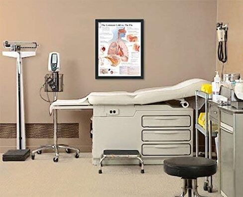 Understanding Arthritis Framed Medical Educational Poster Informational Diagram Doctors Office School Classroom 22x28 Inches in Kuwait