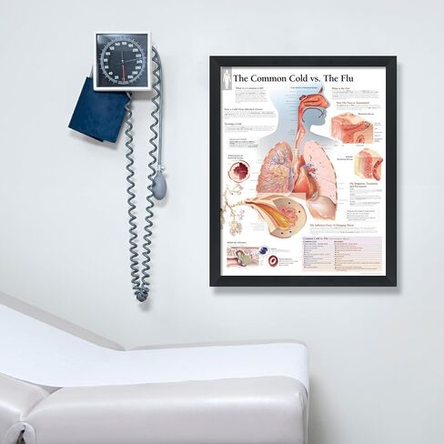 Understanding Arthritis Framed Medical Educational Poster Informational Diagram Doctors Office School Classroom 22x28 Inches in Kuwait