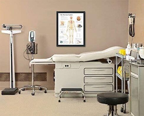 Understanding Arthritis Framed Medical Educational Poster Informational Diagram Doctors Office School Classroom 22x28 Inches in Kuwait