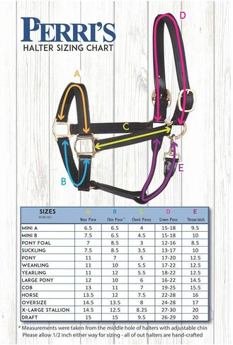 Perri's Nylon Cob Ribbon Safety Halter in Saudi Arabia