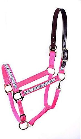 Perri's Nylon Cob Ribbon Safety Halter in Saudi Arabia