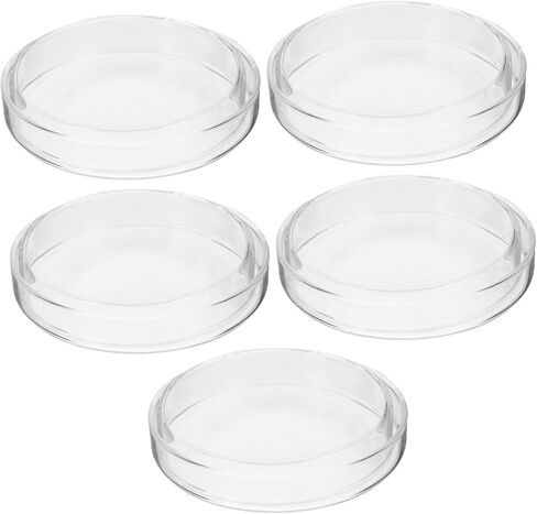 Cabilock 5PCS Baboratory Ciniرب أطباق لوحات Petri الزجاجية للتجارب العلمية وصواني الثقافة للتدريس والبحث في الأبحاث in Saudi Arabia