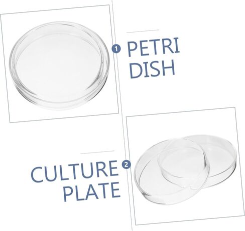 Cabilock 5PCS Baboratory Ciniرب أطباق لوحات Petri الزجاجية للتجارب العلمية وصواني الثقافة للتدريس والبحث في الأبحاث in Saudi Arabia