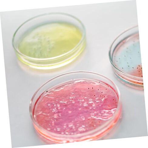 GLEAVI 5pcs Culture Dishes Lid Petri Plates for Cell Culture and Experiments Lightweight and Laboratory Dishes for Scientific Use and Sample in Saudi Arabia