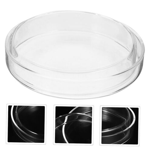 GLEAVI 5pcs Culture Dishes Lid Petri Plates for Cell Culture and Experiments Lightweight and Laboratory Dishes for Scientific Use and Sample in Saudi Arabia