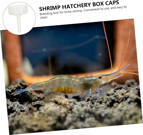 TOYANDONA 20-Piece Brine Shrimp Incubator Caps for DIY Hatching Bottles Shrimp Egg Hatchery Covers Compatible Aquarium Use in Saudi Arabia