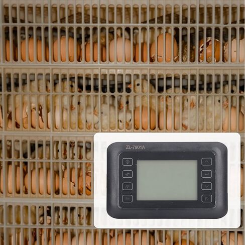 TOPINCN Incubator Controller, Full Automatically Temperature and Humidity Control, 100 to 240 V Digital Eggs Turning Incubator Controller for Hatching Chicken Duck Goose Quail Eggs (ZL-7903A) in Saudi Arabia