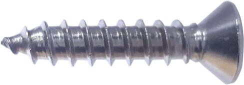 #12 × 1-1/2 "مسامير معدنية ورقة مسطحة ، محرك فيليبس ، الفولاذ المقاوم للصدأ 18-8 ، الخيط الكامل ، النهاية المشرقة ، التنصت الذاتي ، الكمية 50 بواسطة Fastenere in Saudi Arabia