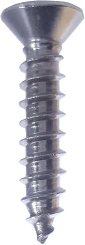 #12 × 1-1/2 "مسامير معدنية ورقة مسطحة ، محرك فيليبس ، الفولاذ المقاوم للصدأ 18-8 ، الخيط الكامل ، النهاية المشرقة ، التنصت الذاتي ، الكمية 50 بواسطة Fastenere in Saudi Arabia
