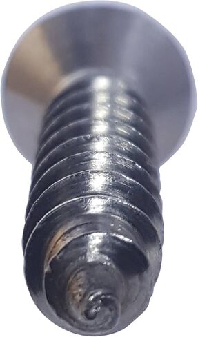 #12 × 1-1/2 "مسامير معدنية ورقة مسطحة ، محرك فيليبس ، الفولاذ المقاوم للصدأ 18-8 ، الخيط الكامل ، النهاية المشرقة ، التنصت الذاتي ، الكمية 50 بواسطة Fastenere in Saudi Arabia