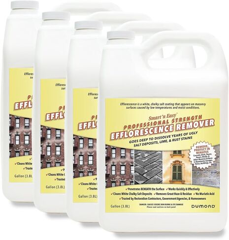 Smart 'n Easy Efflorescence Remover - Heavy Duty Professional Strength Formula - Removes The Toughest Salt, Calcium, and Magnesium Deposits from Concrete, Brick, Stucco, Pavers, & More - 2 Gallons in Kuwait