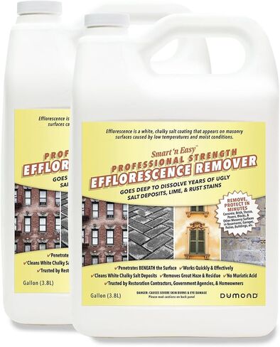 Smart 'n Easy Efflorescence Remover - Heavy Duty Professional Strength Formula - Removes The Toughest Salt, Calcium, and Magnesium Deposits from Concrete, Brick, Stucco, Pavers, & More - 2 Gallons in Kuwait