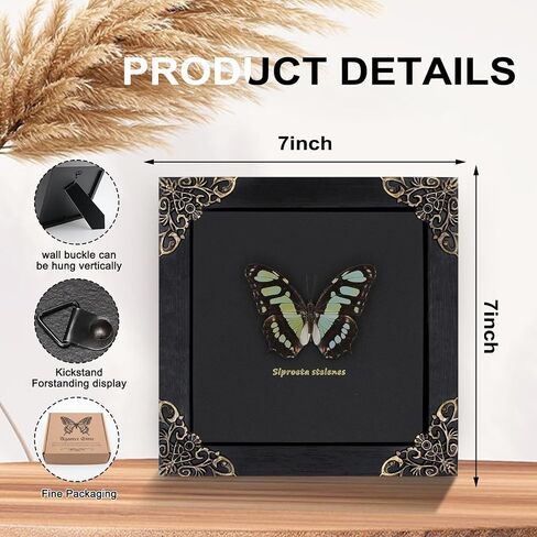 Dragonfly Framed Decoration Handmade Taxidermy Damselfly Shadow Box Collection Framed Dragonfly Taxidermy for Gothic Home Decor-Mnais Mneme in Saudi Arabia