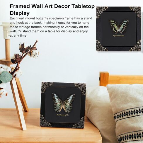Dragonfly Framed Decoration Handmade Taxidermy Damselfly Shadow Box Collection Framed Dragonfly Taxidermy for Gothic Home Decor-Mnais Mneme in Saudi Arabia
