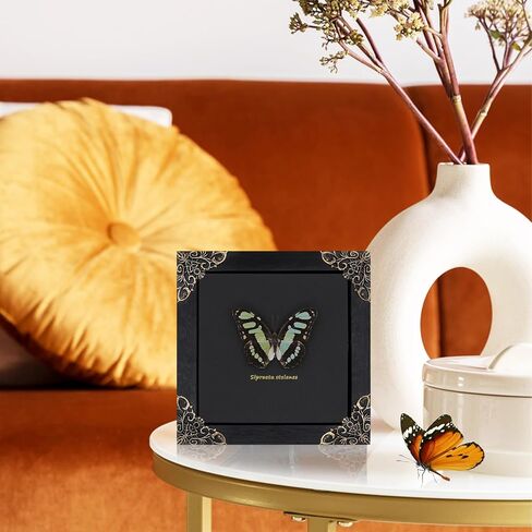 Dragonfly Framed Decoration Handmade Taxidermy Damselfly Shadow Box Collection Framed Dragonfly Taxidermy for Gothic Home Decor-Mnais Mneme in Saudi Arabia